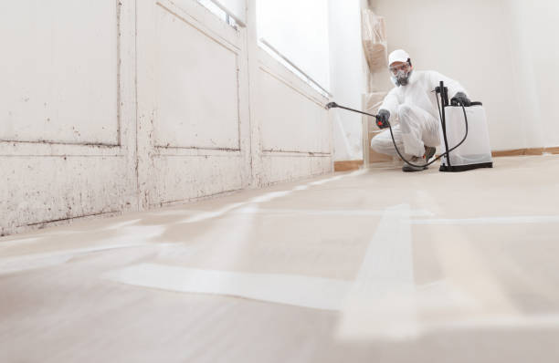 24/7 Emergency Basement Mold Removal experts in Takoma Park, MD